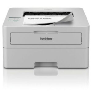 Brother Ασπρόμαυρος Εκτυπωτής Laser HL-L2865DWRE1 4977766831093