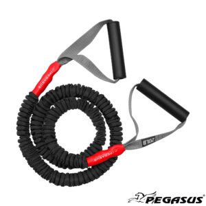 Λάστιχο Αντίστασης Pegasus® με Κάλυμμα (20lbs - 9kg)